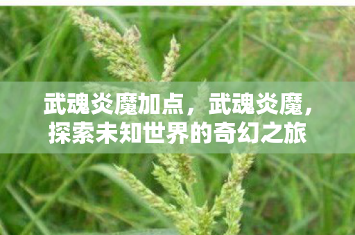 武魂炎魔加点，武魂炎魔，探索未知世界的奇幻之旅