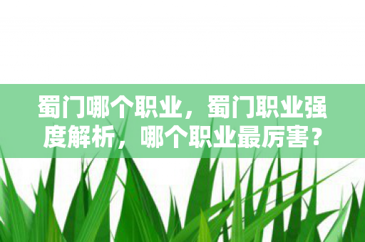 蜀门哪个职业，蜀门职业强度解析，哪个职业最厉害？
