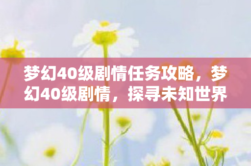 梦幻40级剧情任务攻略，梦幻40级剧情，探寻未知世界的奇妙旅程