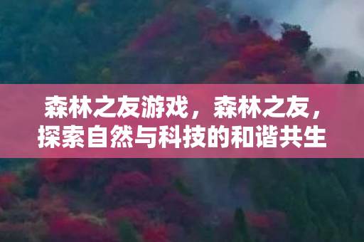 森林之友游戏，森林之友，探索自然与科技的和谐共生
