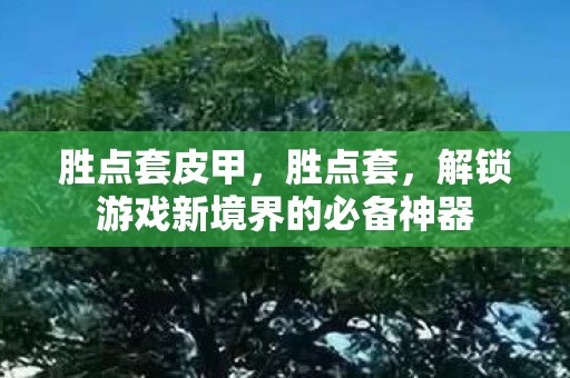 胜点套皮甲，胜点套，解锁游戏新境界的必备神器