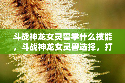 斗战神龙女灵兽学什么技能，斗战神龙女灵兽选择，打造最强战斗伙伴