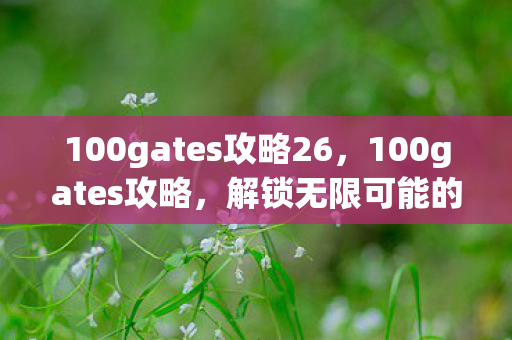 100gates攻略26，100gates攻略，解锁无限可能的冒险之旅