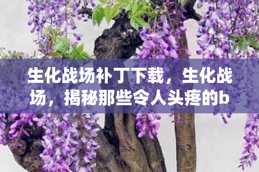 生化战场补丁下载，生化战场，揭秘那些令人头疼的bug