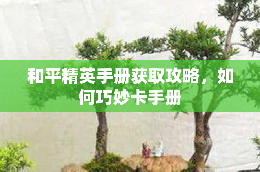 和平精英手册获取攻略，如何巧妙卡手册