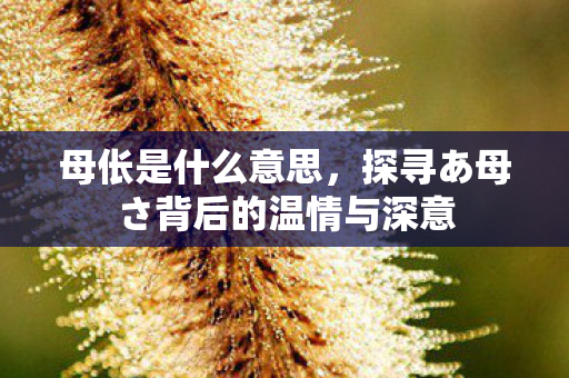 母伥是什么意思，探寻あ母さ背后的温情与深意