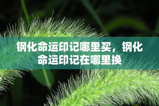 钢化命运印记哪里买，钢化命运印记在哪里换