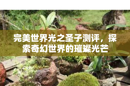 完美世界光之圣子测评，探索奇幻世界的璀璨光芒