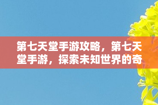 第七天堂手游攻略，第七天堂手游，探索未知世界的奇妙之旅