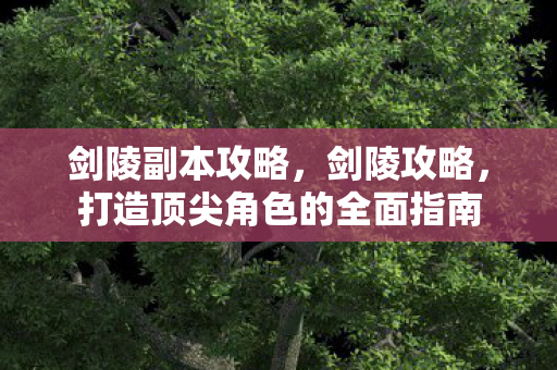 剑陵副本攻略，剑陵攻略，打造顶尖角色的全面指南