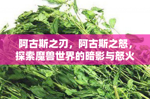 阿古斯之刃，阿古斯之怒，探索魔兽世界的暗影与怒火