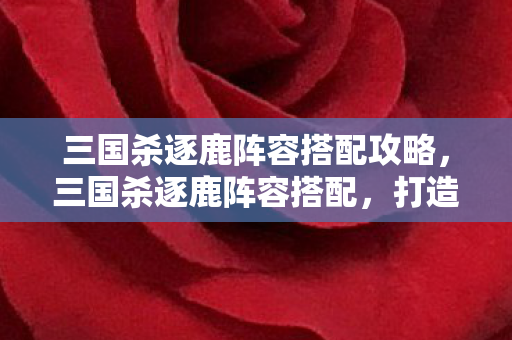 三国杀逐鹿阵容搭配攻略，三国杀逐鹿阵容搭配，打造最强战力