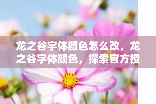 龙之谷字体颜色怎么改，龙之谷字体颜色，探索官方授权下的色彩美学