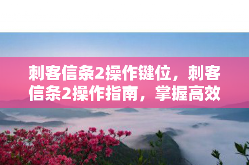 刺客信条2操作键位，刺客信条2操作指南，掌握高效战斗技巧
