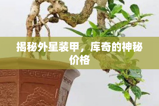 揭秘外星装甲，库奇的神秘价格