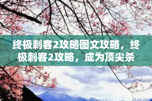 终极刺客2攻略图文攻略，终极刺客2攻略，成为顶尖杀手的秘密