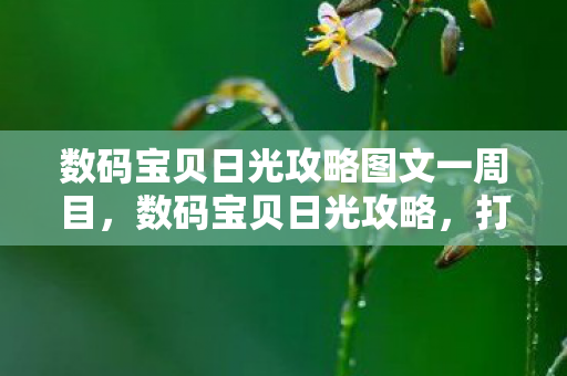 数码宝贝日光攻略图文一周目，数码宝贝日光攻略，打造最强阵容，征服日光世界