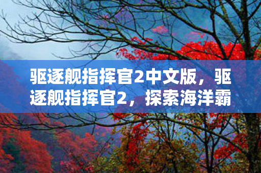 驱逐舰指挥官2中文版，驱逐舰指挥官2，探索海洋霸权的战术与战略