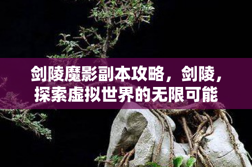 剑陵魔影副本攻略，剑陵，探索虚拟世界的无限可能