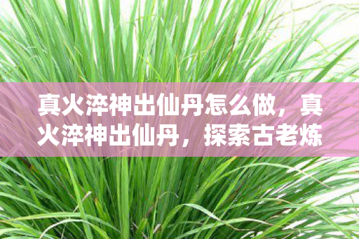 真火淬神出仙丹怎么做，真火淬神出仙丹，探索古老炼丹术的奥秘