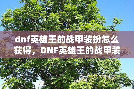 dnf英雄王的战甲装扮怎么获得，DNF英雄王的战甲装扮，探索游戏中的时尚与力量