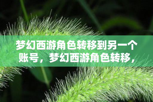梦幻西游角色转移到另一个账号，梦幻西游角色转移，官方转移服务详解与注意事项