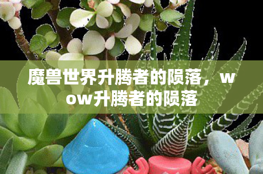 魔兽世界升腾者的陨落，wow升腾者的陨落