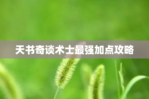 天书奇谈术士最强加点攻略