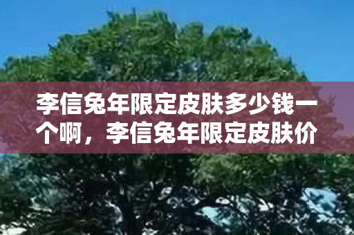 李信兔年限定皮肤多少钱一个啊，李信兔年限定皮肤价格揭秘，美丽与价值的双重盛宴