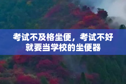 考试不及格坐便，考试不好就要当学校的坐便器