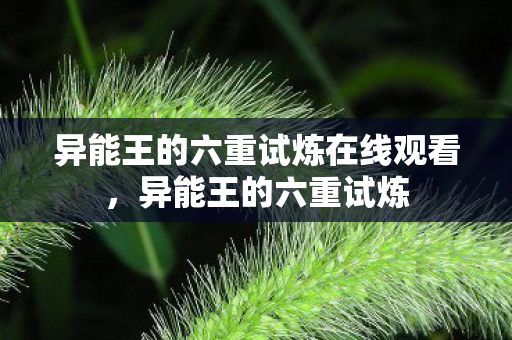 异能王的六重试炼在线观看，异能王的六重试炼