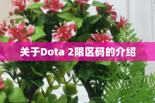 关于Dota 2限区码的介绍
