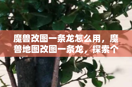 魔兽改图一条龙怎么用，魔兽地图改图一条龙，探索个性化游戏世界的无限可能