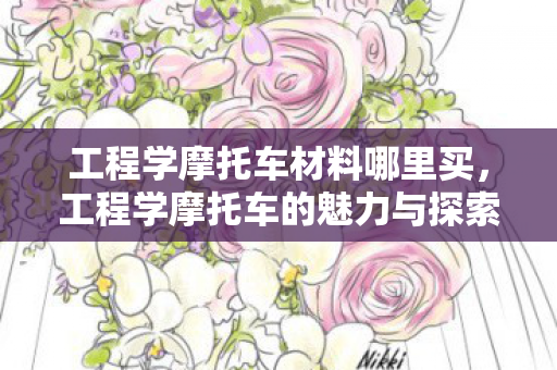 工程学摩托车材料哪里买，工程学摩托车的魅力与探索