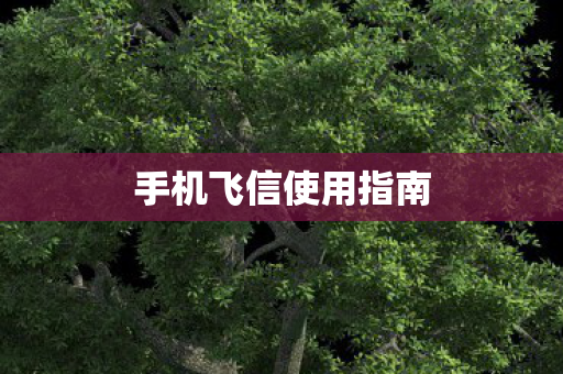 手机飞信使用指南