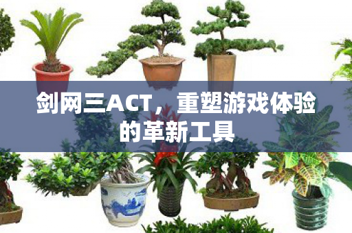 剑网三ACT，重塑游戏体验的革新工具