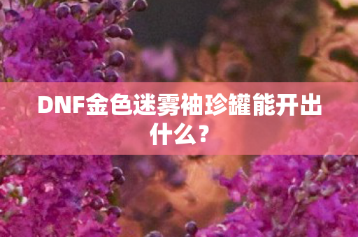 DNF金色迷雾袖珍罐能开出什么？