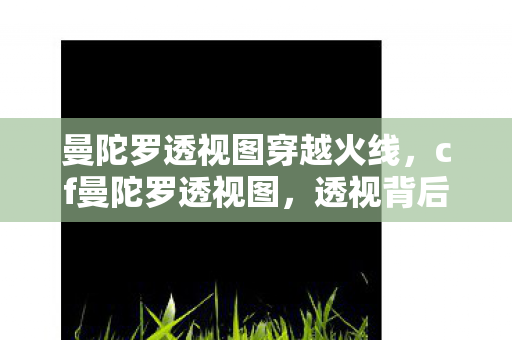 曼陀罗透视图穿越火线，cf曼陀罗透视图，透视背后的策略与技巧