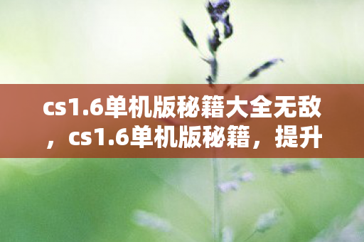 cs1.6单机版秘籍大全无敌，cs1.6单机版秘籍，提升游戏技巧与体验的全面指南