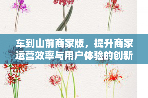 车到山前商家版，提升商家运营效率与用户体验的创新平台