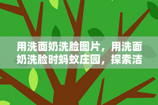 用洗面奶洗脸图片，用洗面奶洗脸时蚂蚁庄园，探索洁面新体验