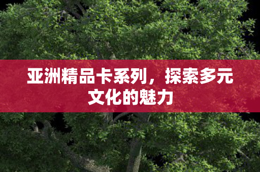 亚洲精品卡系列，探索多元文化的魅力