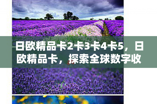 日欧精品卡2卡3卡4卡5，日欧精品卡，探索全球数字收藏的新境界