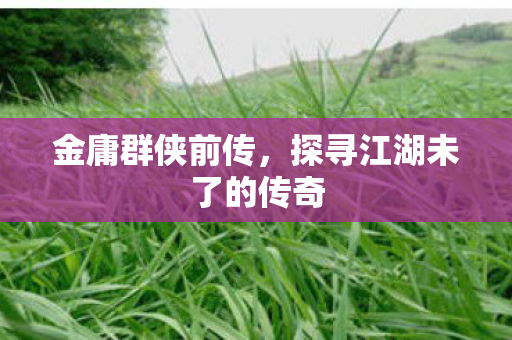 金庸群侠前传，探寻江湖未了的传奇