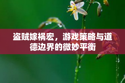 盗贼嫁祸宏，游戏策略与道德边界的微妙平衡