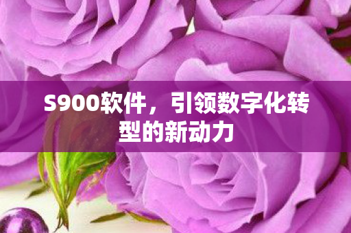 S900软件,引领数字化转型的新动力