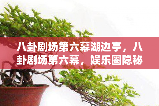 八卦剧场第六幕湖边亭，八卦剧场第六幕，娱乐圈隐秘恋情大揭秘