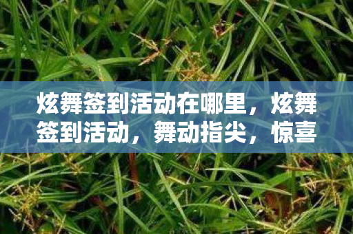 炫舞签到活动在哪里，炫舞签到活动，舞动指尖，惊喜连连