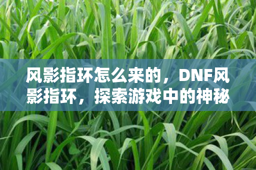 风影指环怎么来的，DNF风影指环，探索游戏中的神秘宝藏