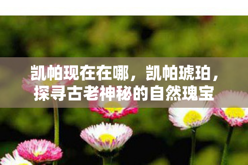 凯帕现在在哪，凯帕琥珀，探寻古老神秘的自然瑰宝